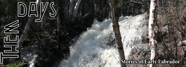 Them Days - Scenic waterfalls.  Photo by Aimee Chaulk