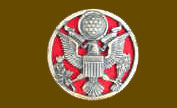 US Army badge