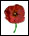 Poppy