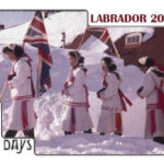 2016 Labrador calendar