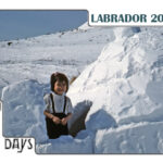 2019 calendar front cover